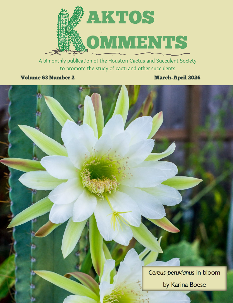 Kaktos Komments Vol. 63 No 2