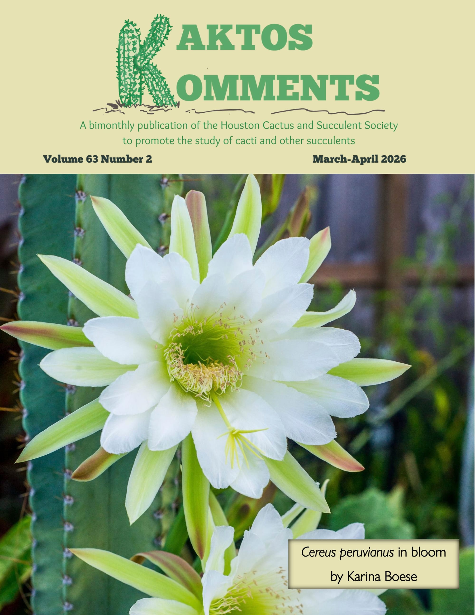 Kaktos Komments Vol. 63 No 2