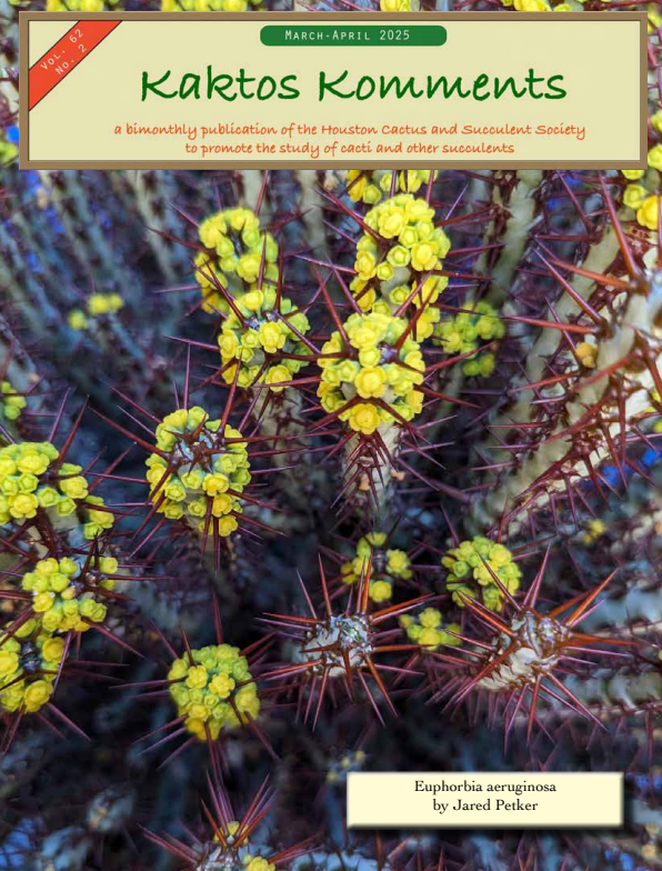 Kaktos Komments Vol 62 No 2