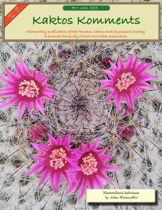 Kaktos Komments Vol 62 No 3