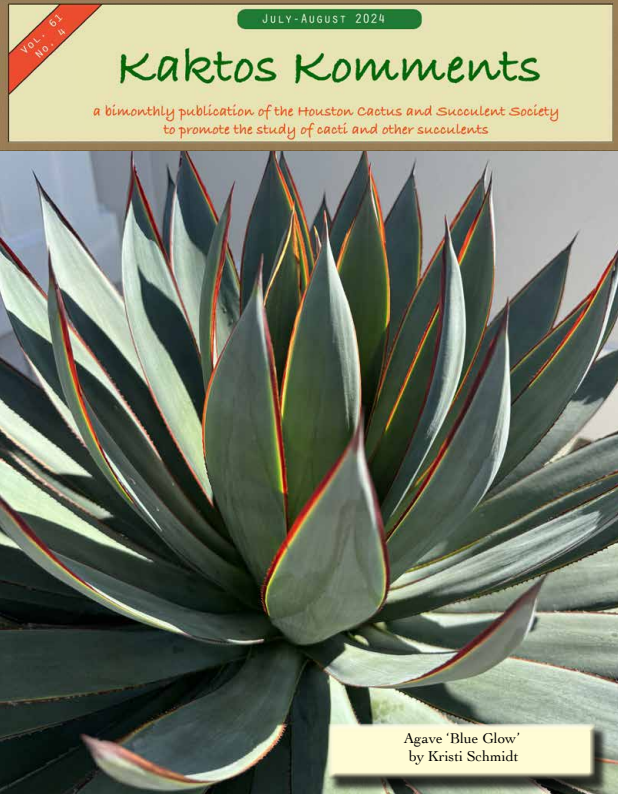 Kaktos Komments Vol 61 No 4