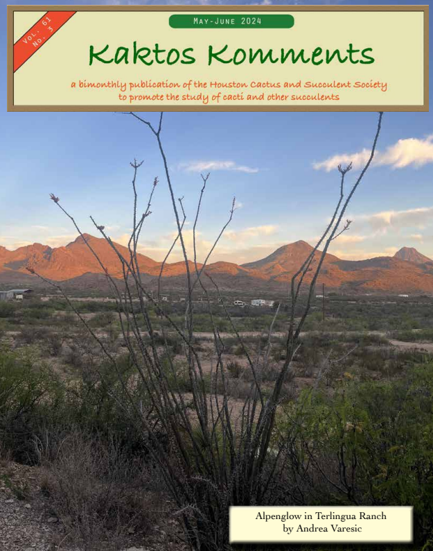 Kaktos Komments Vol 61 No 3