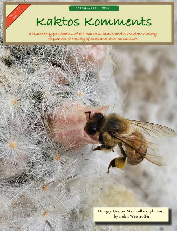 Kaktos Komments Vol 61 No 2