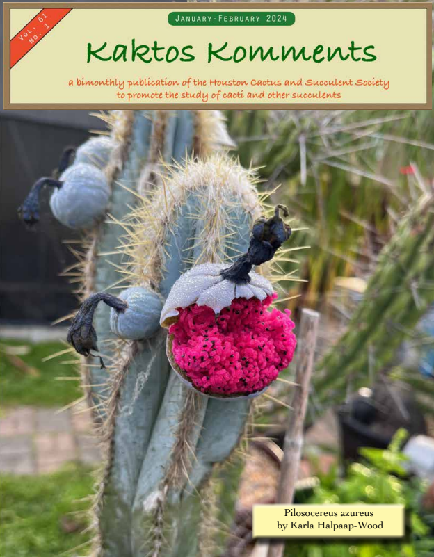 Kaktos Komments Vol 61 No 1