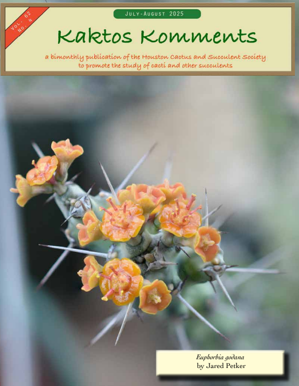 Kaktos Komments Vol 62 No 4