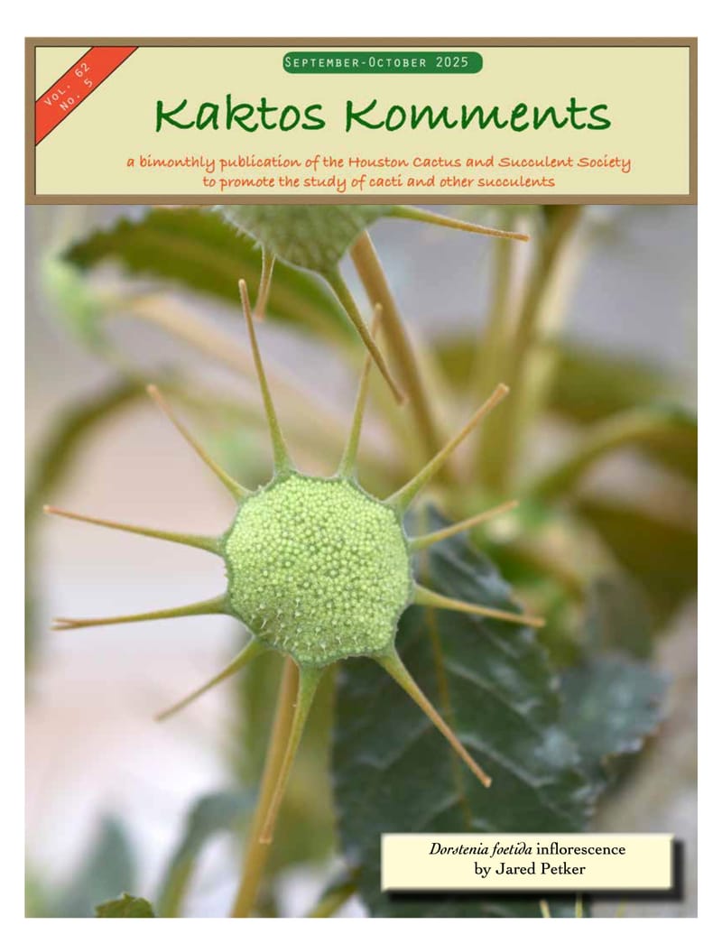 Kaktos Komments Vol 62, No 5