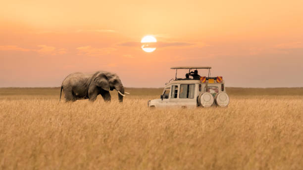 5 Days Masai mara luxury safari