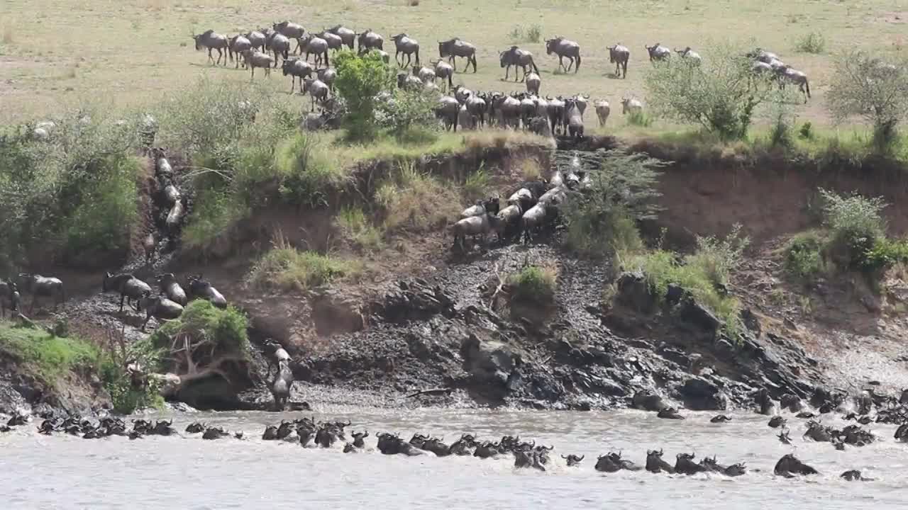 Why is Maasai Mara Unique ?  