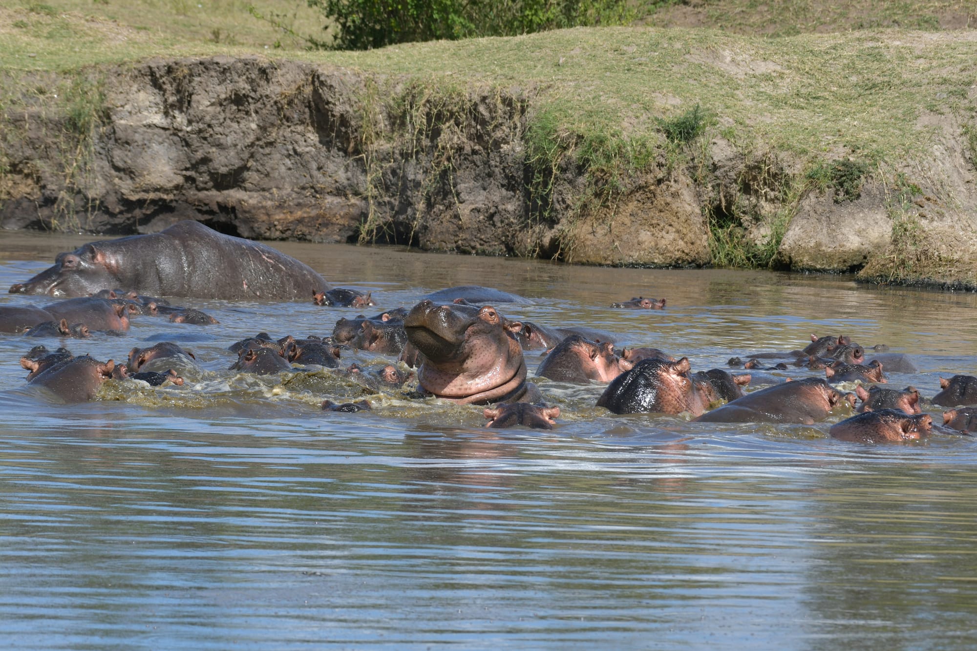Why is Maasai Mara Unique ?  