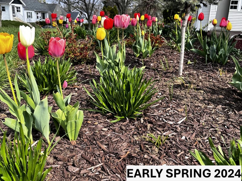 Restoring Charm: Revitalizing the Entryway of a Century-Old Home