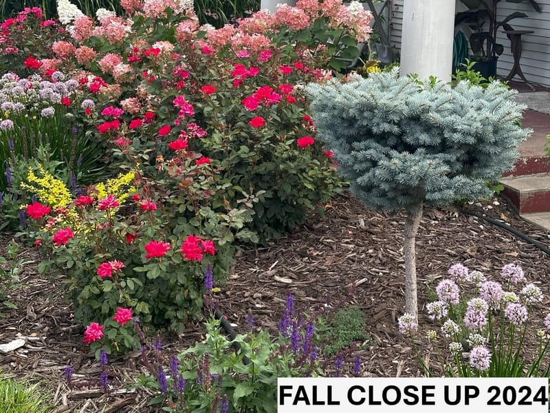 Restoring Charm: Revitalizing the Entryway of a Century-Old Home