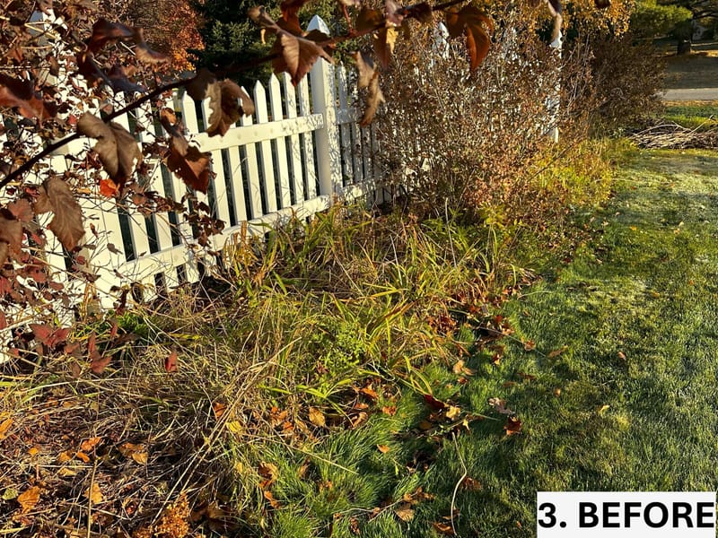 Extensive Front Landscape Bed Restoration