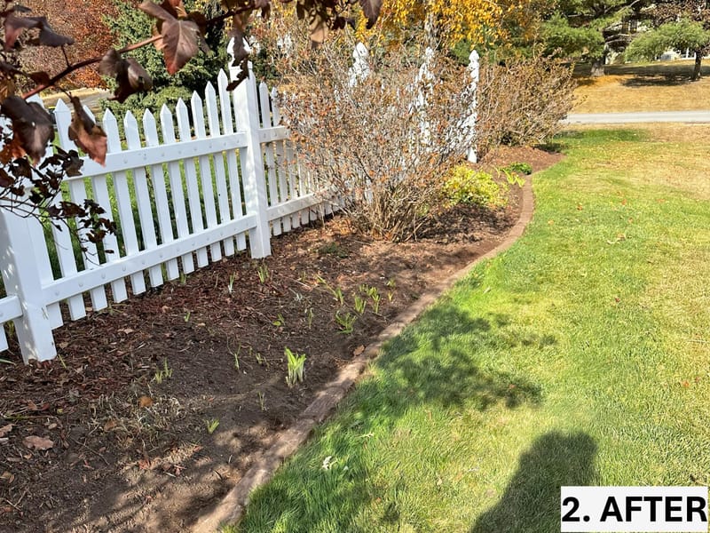 Extensive Front Landscape Bed Restoration