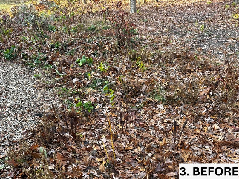 Restoring Rock Pathways and Mulch Garden Beds