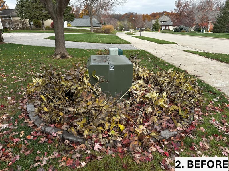 End-of-Year Garden Cleanup