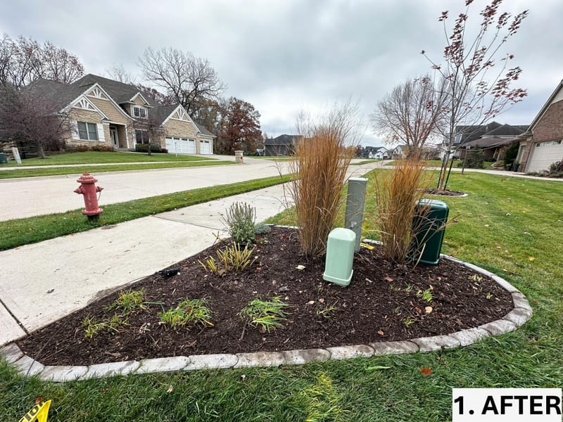 End-of-Year Garden Cleanup