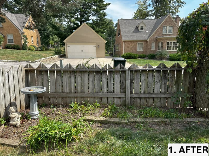 Intensive Backyard Cleanup: Tackling Invasive Vines