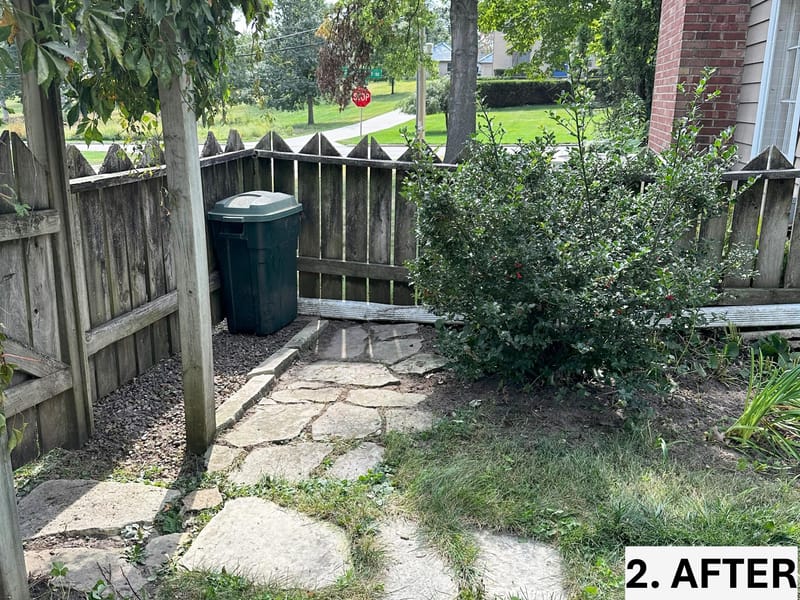 Intensive Backyard Cleanup: Tackling Invasive Vines