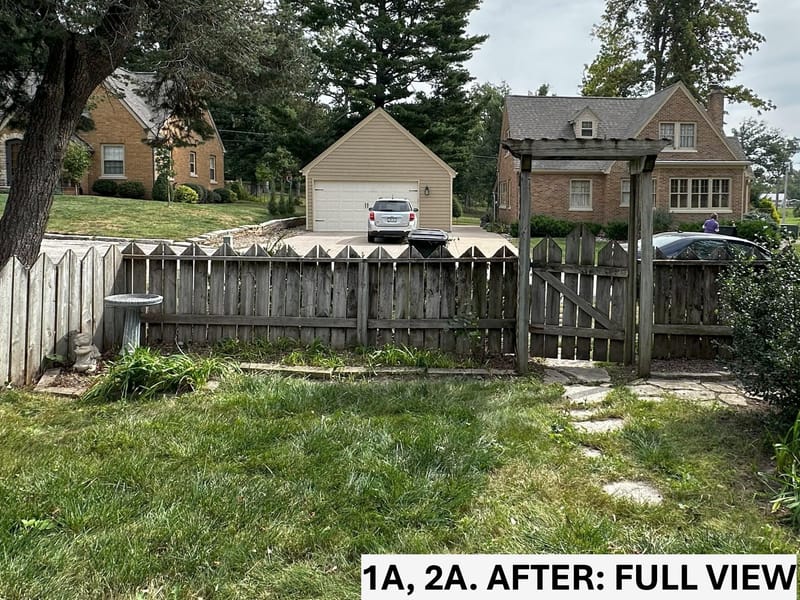 Intensive Backyard Cleanup: Tackling Invasive Vines