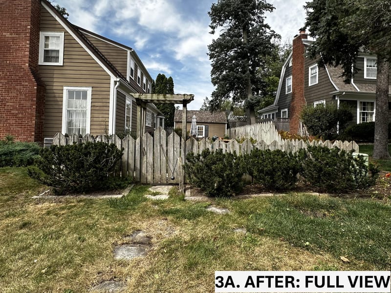 Intensive Backyard Cleanup: Tackling Invasive Vines