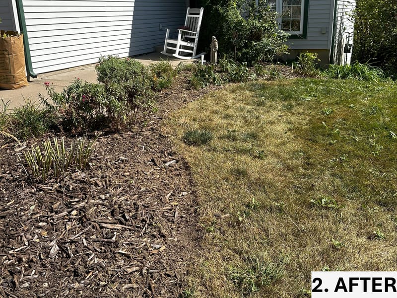 Revitalizing Overgrown Beds with Rejuvenation, Edging, and Thistle Management