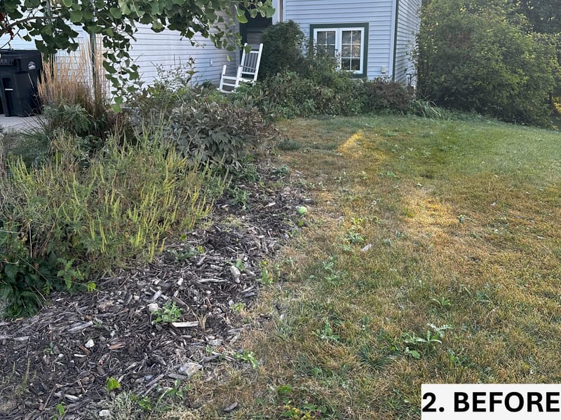 Revitalizing Overgrown Beds with Rejuvenation, Edging, and Thistle Management