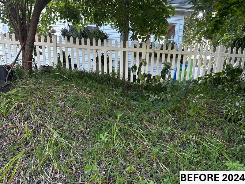 Hillside Transformation: From Overgrown Ditch Lilies to a Shade-Friendly Retreat