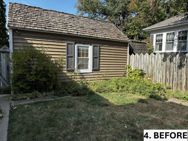 Intensive Backyard Cleanup: Tackling Invasive Vines