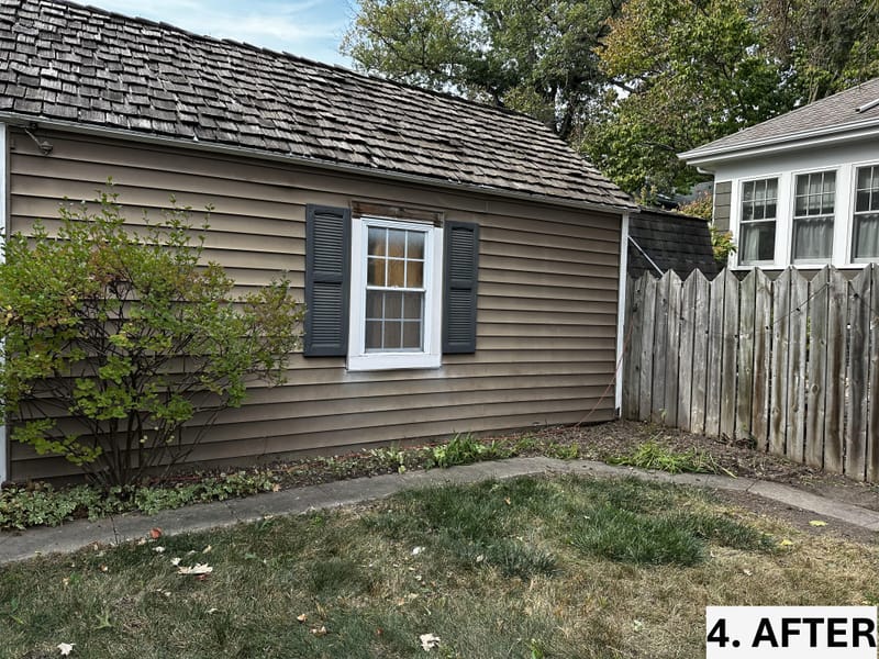 Intensive Backyard Cleanup: Tackling Invasive Vines