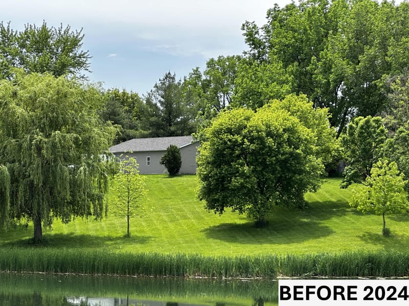 The Garden by the Pond: A Haven of Serenity and Splendor