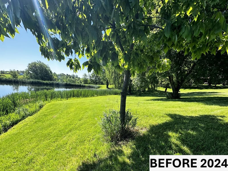 The Garden by the Pond: A Haven of Serenity and Splendor