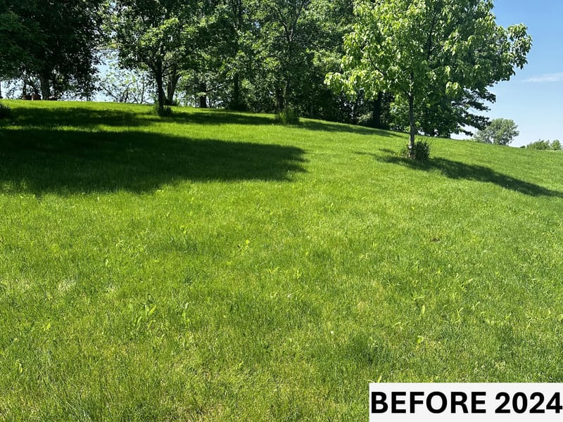 The Garden by the Pond: A Haven of Serenity and Splendor