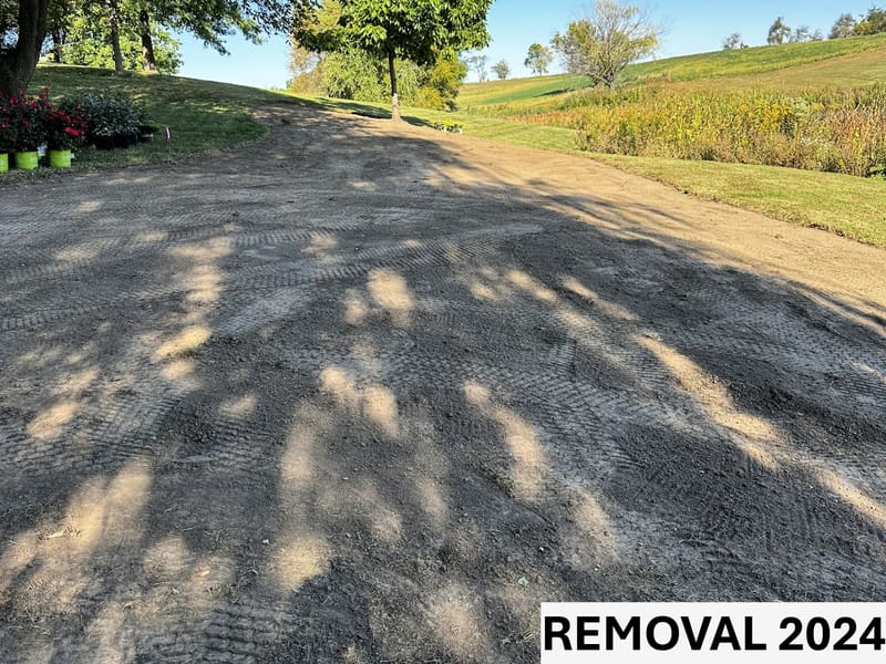 The Garden by the Pond: A Haven of Serenity and Splendor