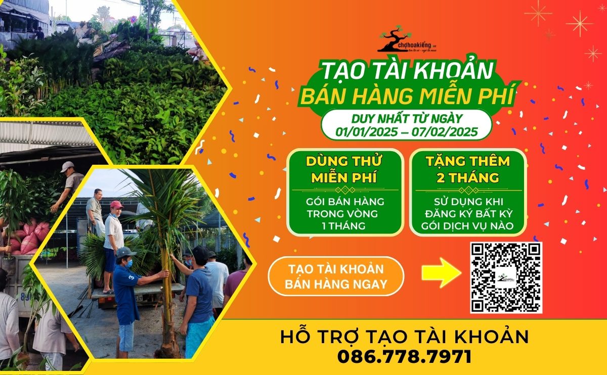 Ưu Đãi Đặc Biệt Tết 2025: Tạo Tài Khoản Bán Hàng Miễn Phí Trên Chợ Hoa KiểngPosted byauthor-avatarLê HảoOn Tháng mười hai 25, 2024Chức năng bình luận