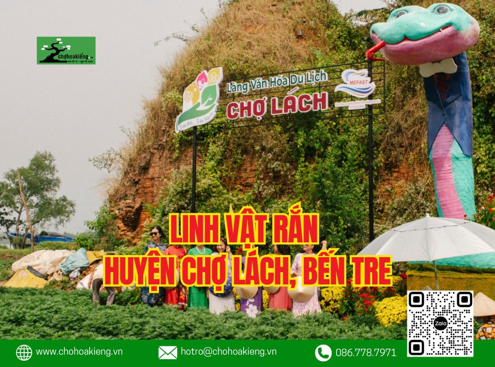 Bảng Xếp Hạng Linh Vật Rắn 2025 Của 63 Tỉnh? Linh Vật Rắn Của Tỉnh Thành Nào Đẹp Và Hot Nhất Tết Ất Tỵ 2025?
