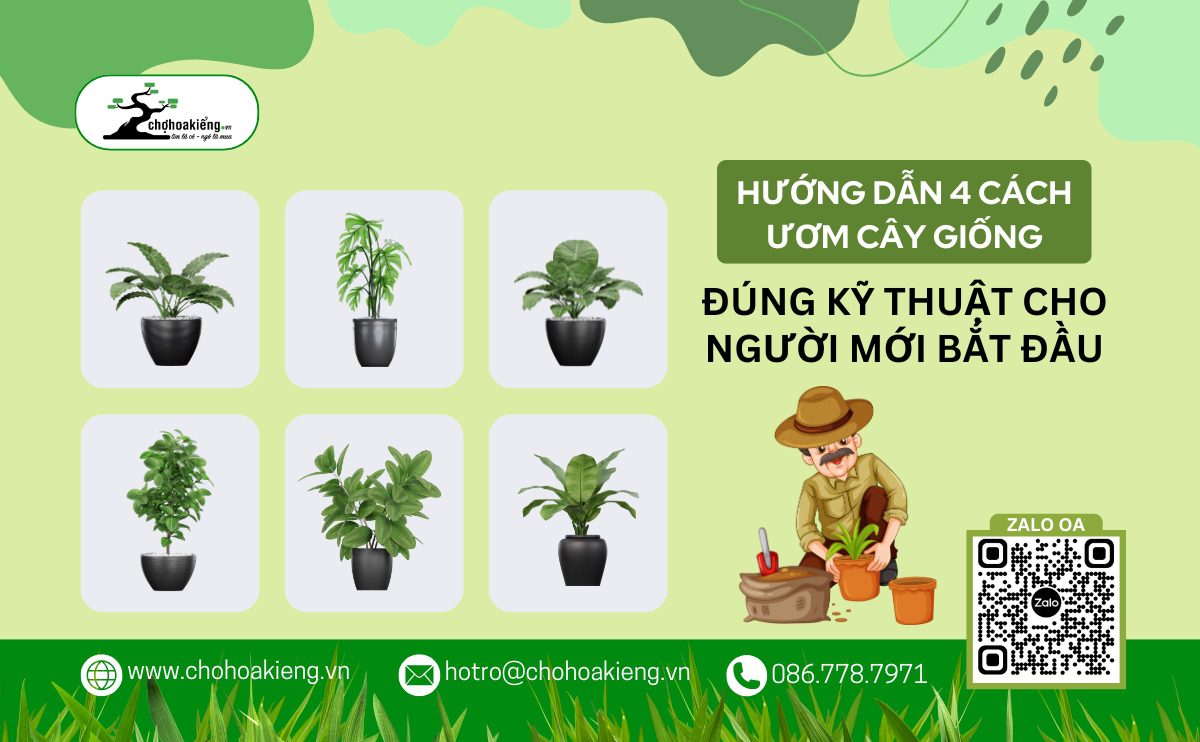 Tìm Hiểu 4 Cách Ươm Cây Giống: Ươm Giống Cơ Bản, Đúng Kỹ Thuật Cho Người Mới Bắt Đầu