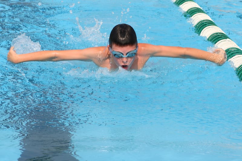 Swim Team - Barracudas