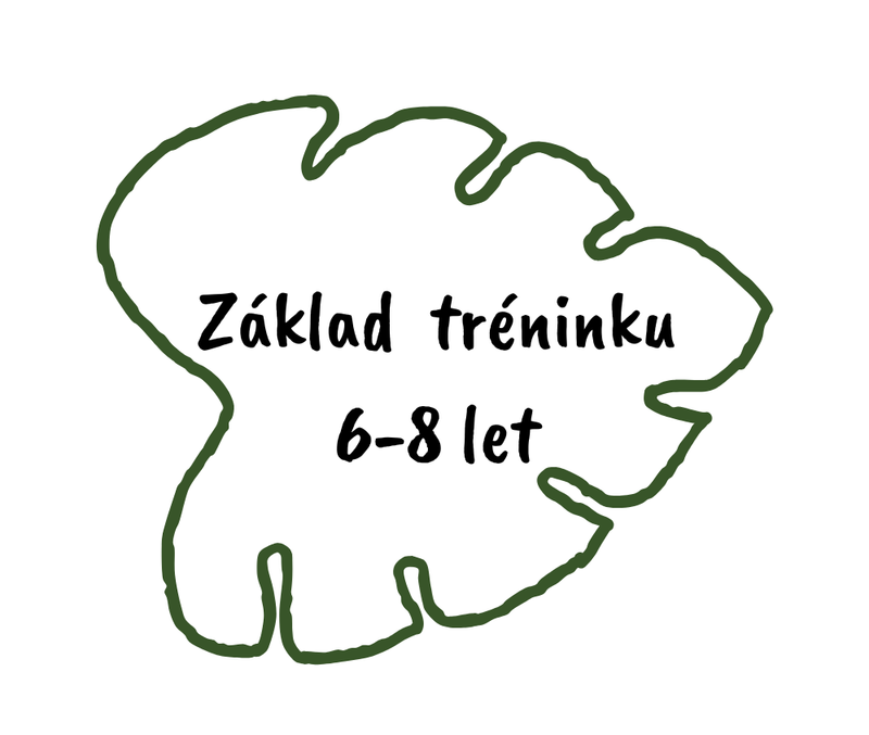ZÁKLADY TRÉNINKU