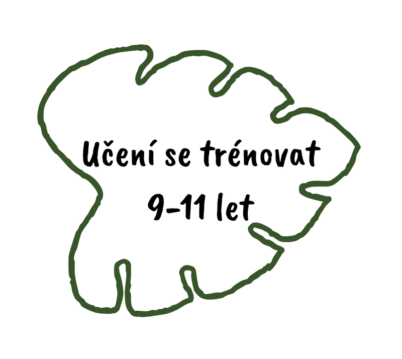UČENÍ SE TRÉNOVAT