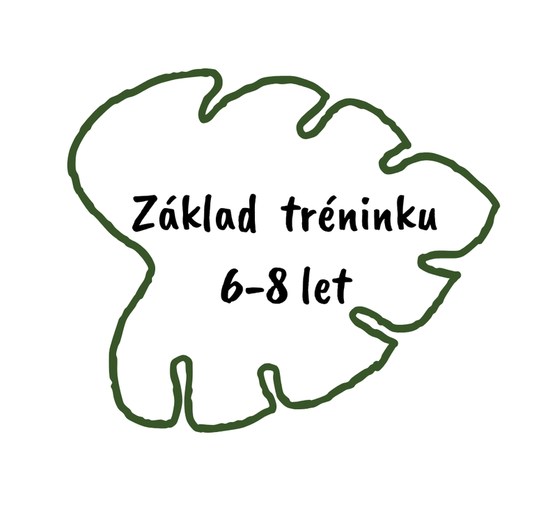 Základy tréninku