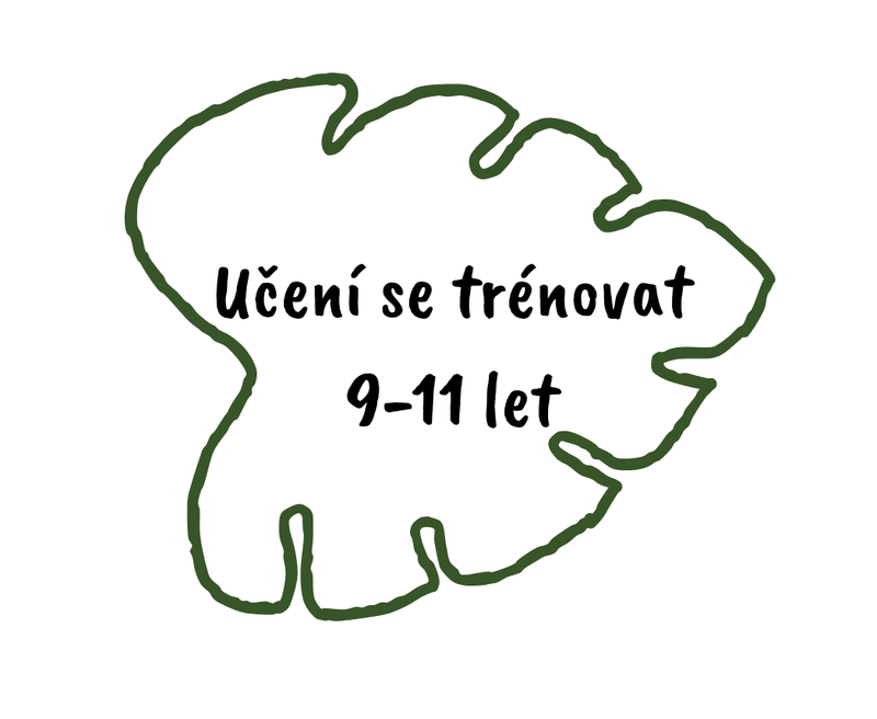 Učení se trénovat