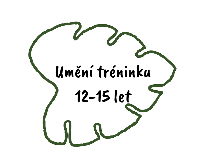 Umění trénovat