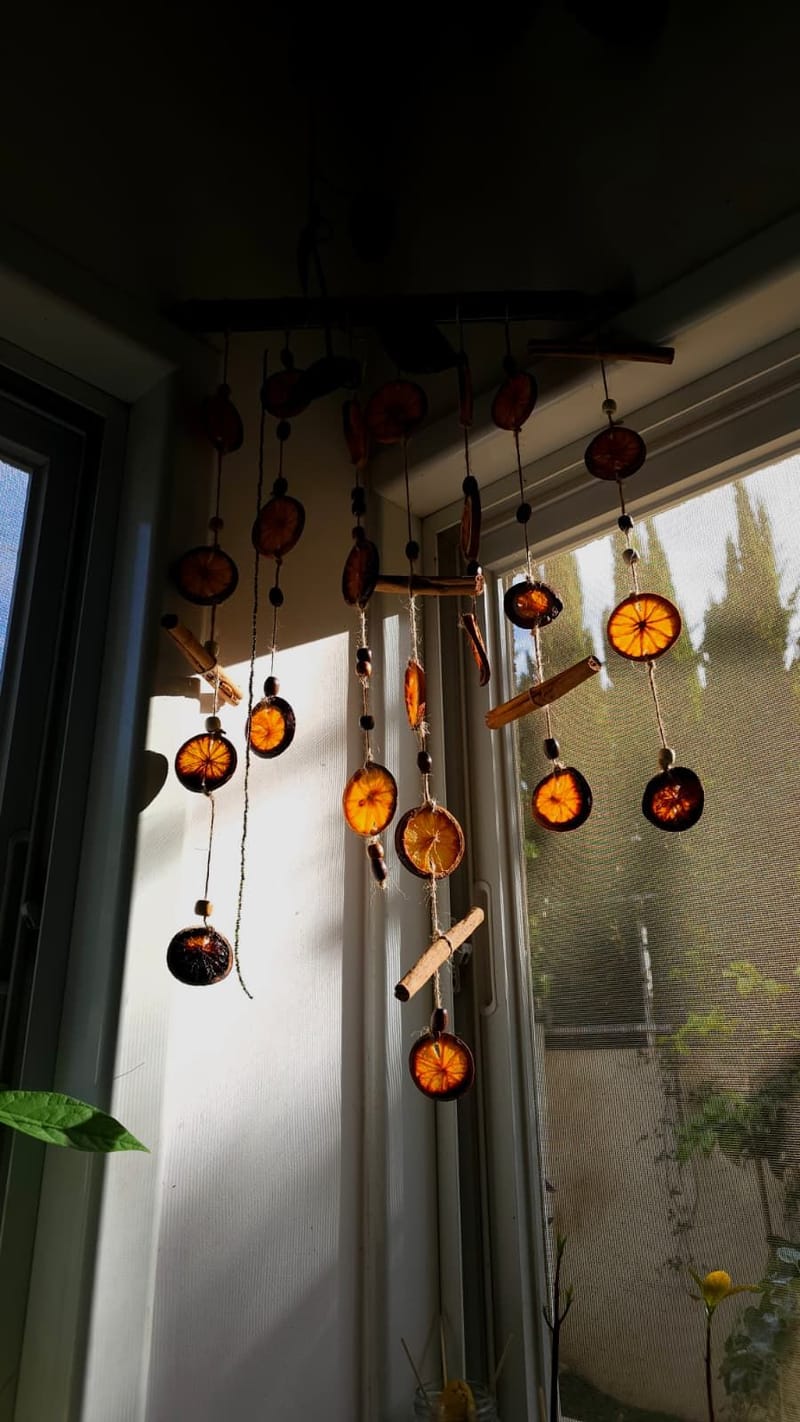 סדנת מוביילים טבעיים בהשראת הטבע המכושף