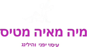 מיה מטיס - מעסה, הילרית ומתקשרת