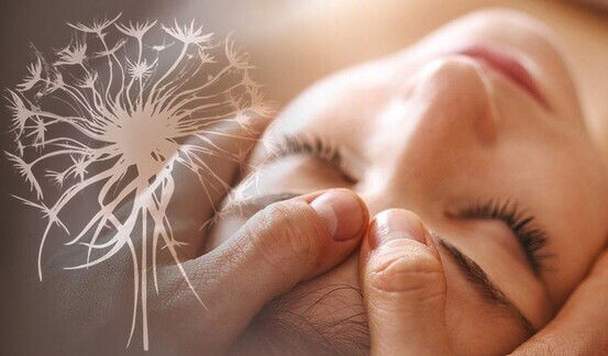 Séance Access Bars 80€