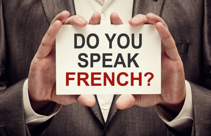 FRANÇAIS LANGUE ÉTRANGÈRE (FLE)