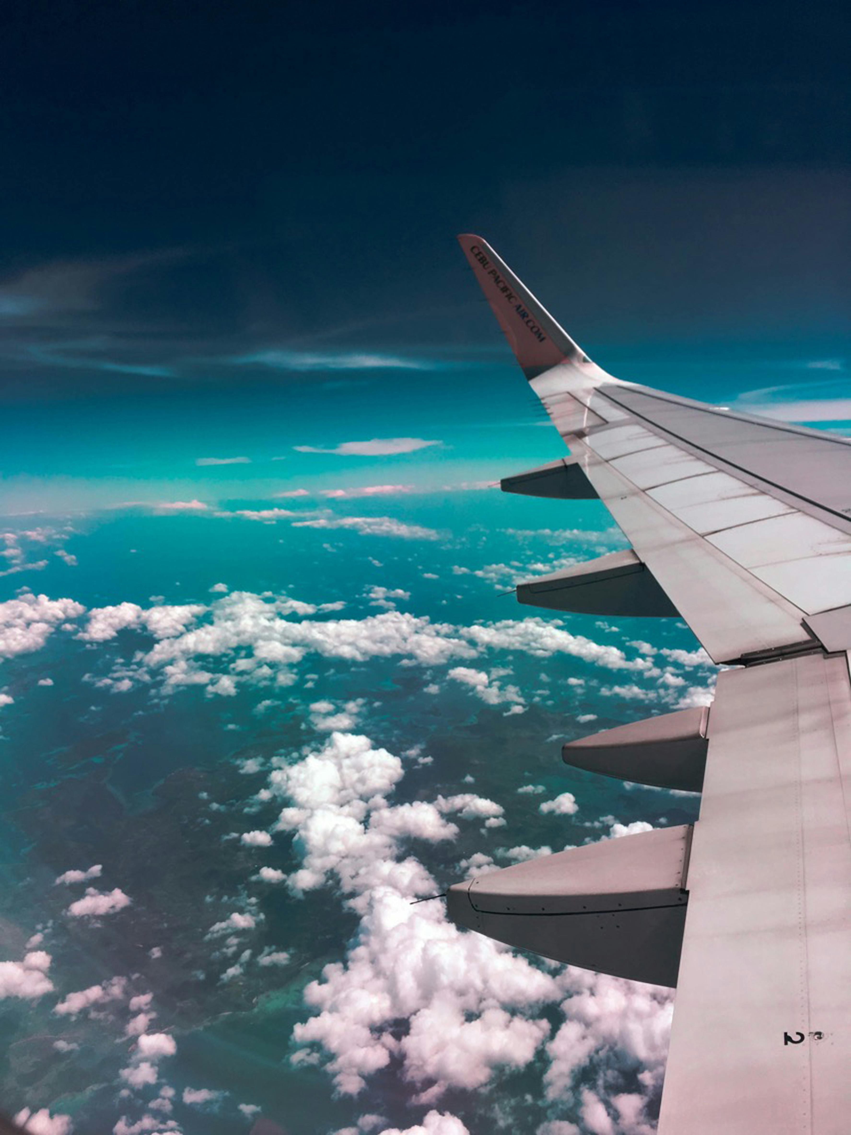 best website to book flights