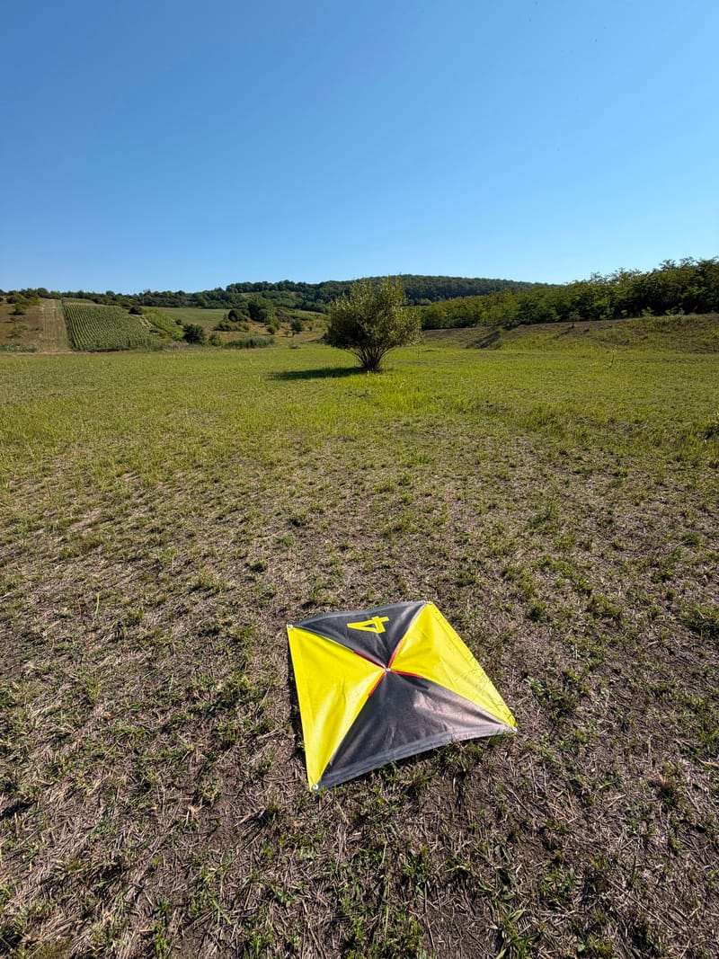 Sisteme UAV