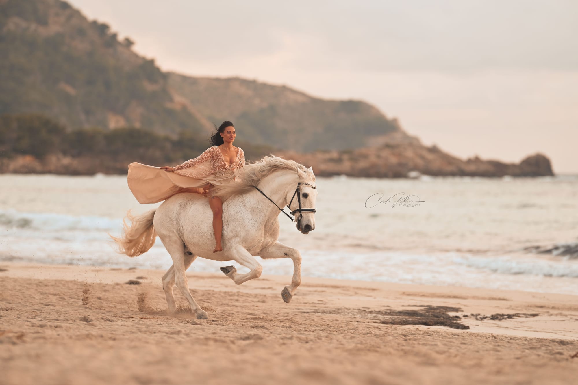 Equifemme Queen Shooting