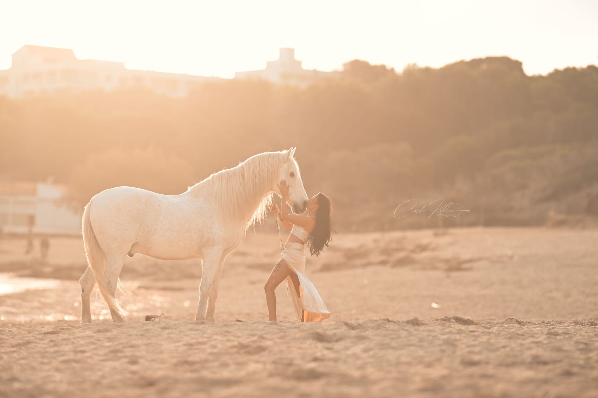 Equifemme Queen Shooting